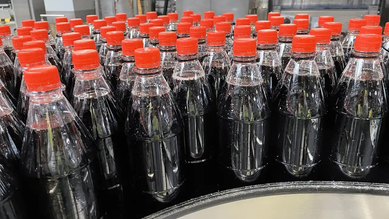 Filled Universal Refpet Bottles